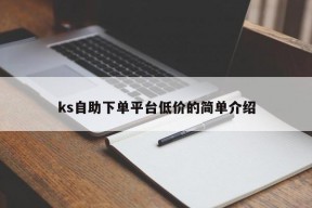 ks自助下单平台低价的简单介绍