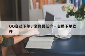 QQ自动下单，全网最低价 - 自助下单软件