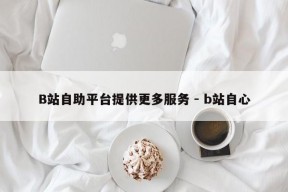 B站自助平台提供更多服务 - b站自心