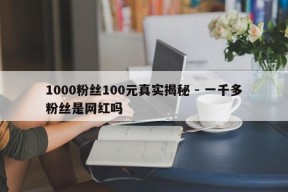 1000粉丝100元真实揭秘 - 一千多粉丝是网红吗