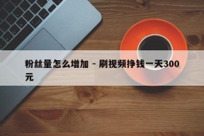 粉丝量怎么增加 - 刷视频挣钱一天300元